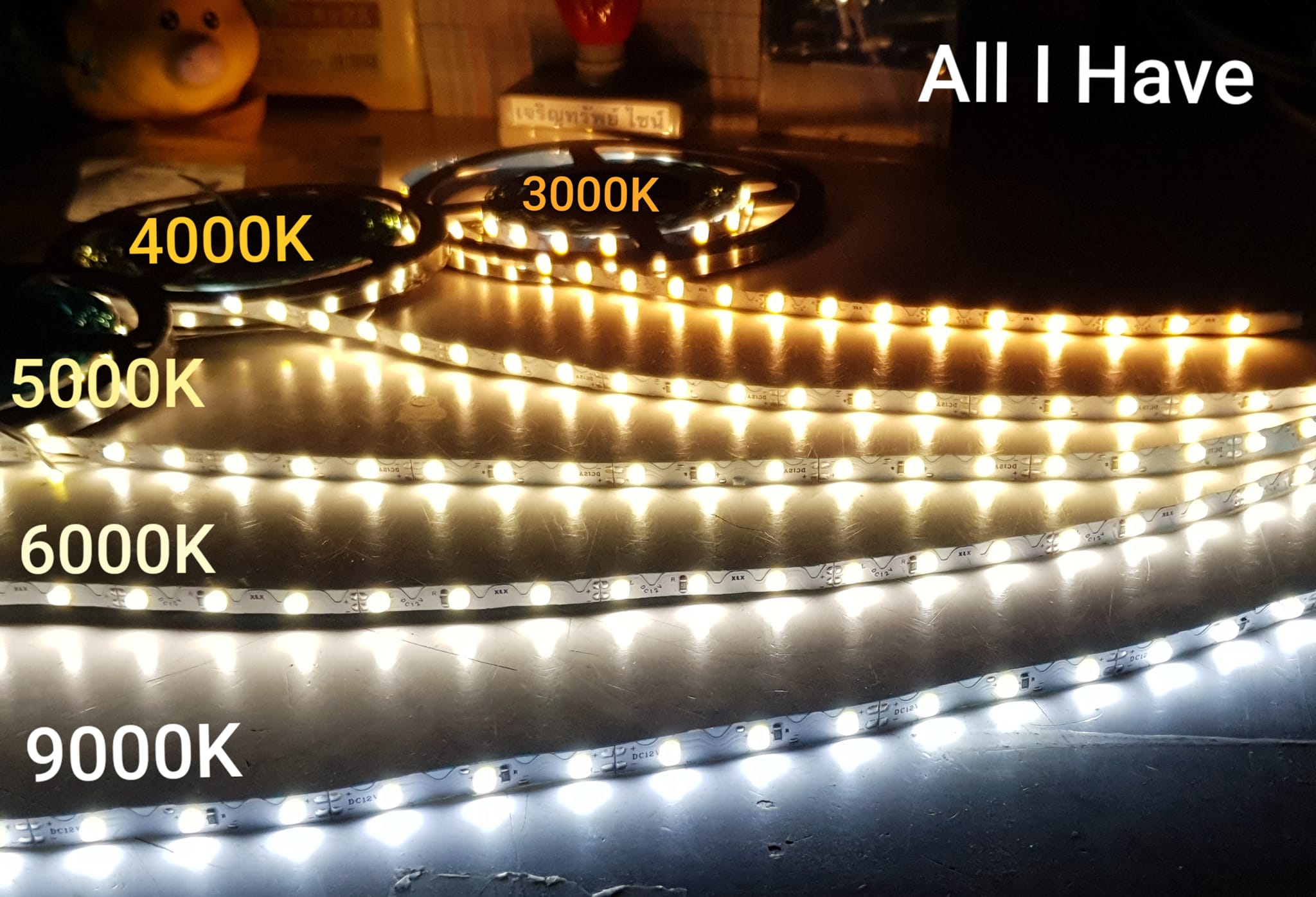 LED Ribbon หลายค่าสี